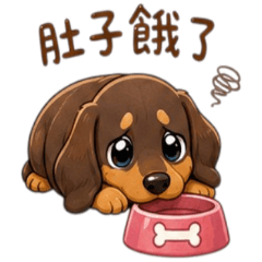 Cute Dachshund Puppy: Daily Life [ZiFu]