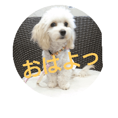 むぎのかわいいスタンプ