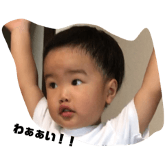 我が家のはるりく