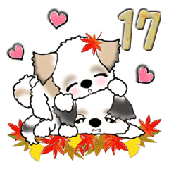 【大きめ文字】シーズーの秋 恋人編 Vol.17