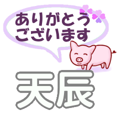 天辰「あまたつ」さん専用。日常会話