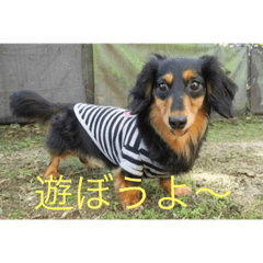 可愛いやんちゃ姫