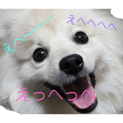 うちのころです