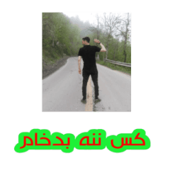 ハーメルボーイ