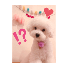 しえるのすたんぷ