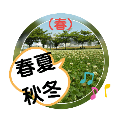 春夏秋冬（春）