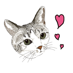 ゆるりおはなしキャット