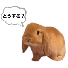 ステファニースタンプ③