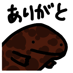 うちのオオサンショウウオ 2