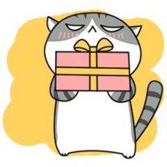 猫ですけど！第２弾