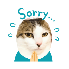 ねこのフレームスタンプ2