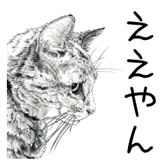 話し合うどうぶつたち