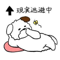 つけたしワンコ