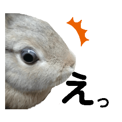 うさぎのチモスタンプ