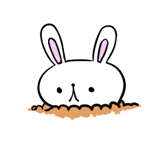 うさぎの栽培の仕方