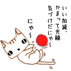 にゃ～がおもうこと