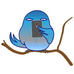 青い鳥は愉快に飛び回ります