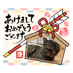 猫のキャベツ君スタンプ