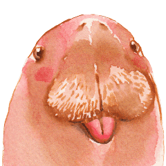 Pink Payoon : Pink Du Gong Pop-Up