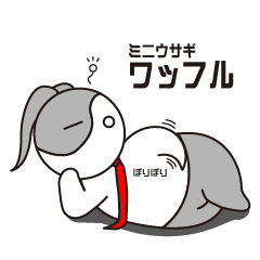 ミニウサギ ワッフル