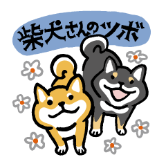 柴犬さんのツボ vol.6 励まし＆思いやり編