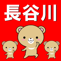 超★長谷川(はせがわ・ハセガワ)なクマ