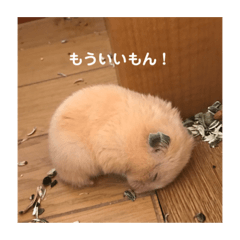 むんむんの日常2