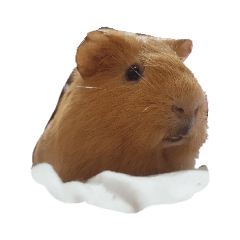 micro_20210429111423