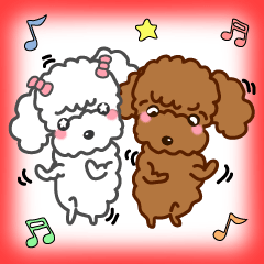 可愛い～プードル