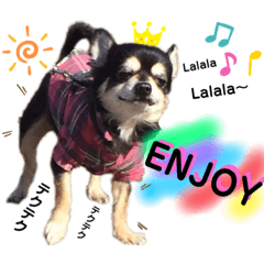 CHOCO君の気持ち