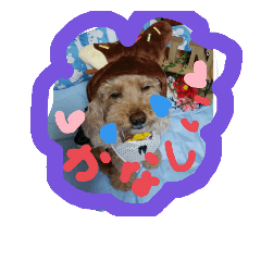 りんりんりん(•ө•)♡