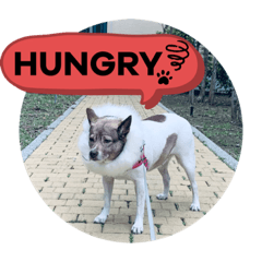 花の幸せな生活