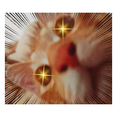 いっちゃんスゴイのだ！