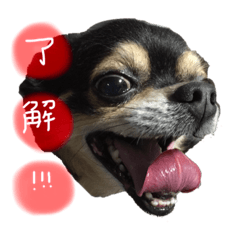 ポップくん　あいさつスタンプ