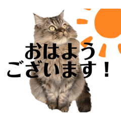 横溝家のどうぶつ3