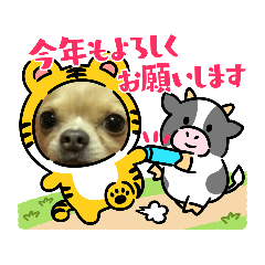 りり❤くぅ 行事etc…