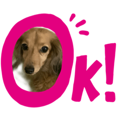 ゆうきくんのスタンプ1