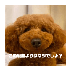 ハッピーネスライフ