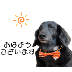 マロちゃん's  2