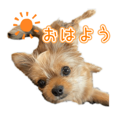 癒しのまろもこスタンプ