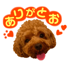 うにしゃんかわいいすたんぷ