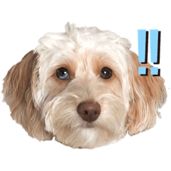 まろ's スタンプ①