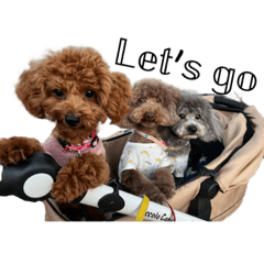 クレシェリの日常