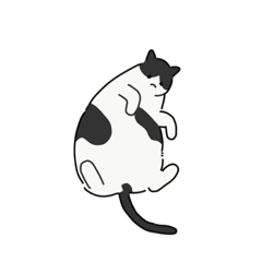 可愛いお家の猫