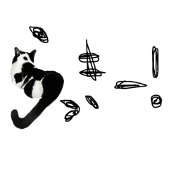 お茶会ねこちゃん（メンヘラ）