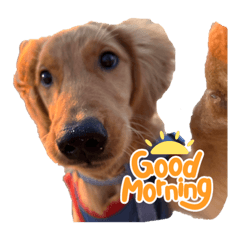 えるもくんのスタンプ♡♡