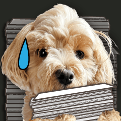 飛び出す!働く犬のまるちゃん（実写）