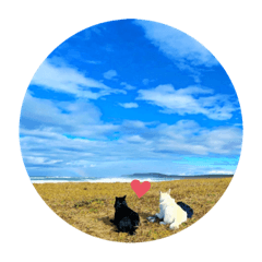 しろーーーくろーーー