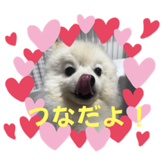 綱吉くんのスタンプ