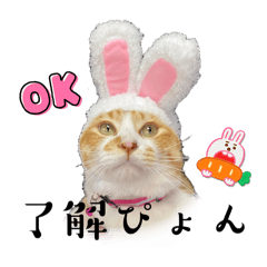 はちねこカフェニャンスタンプ